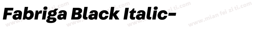 Fabriga Black Italic字体转换